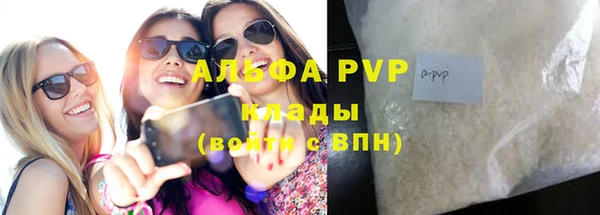 ГАЛЛЮЦИНОГЕННЫЕ ГРИБЫ Корсаков