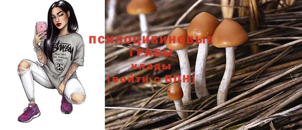 мдма Краснослободск