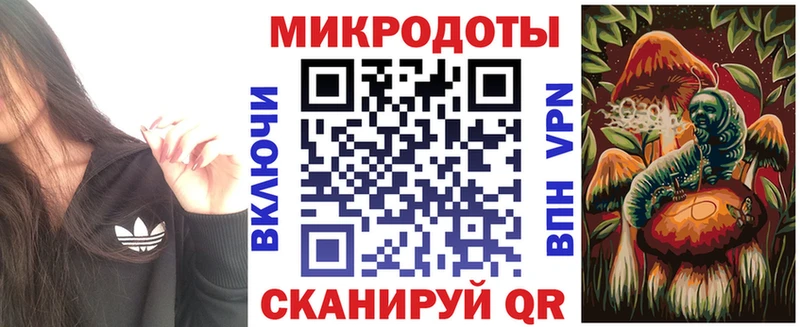 omg Харовск Галлюциногенные грибы Magic Shrooms